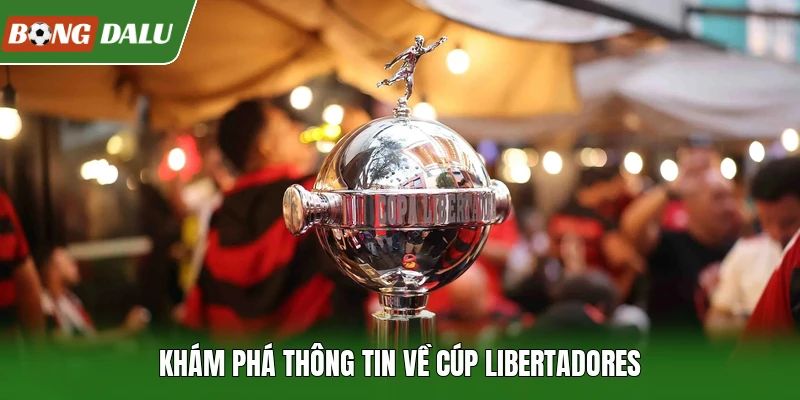 Khám phá thông tin về Cúp Libertadores