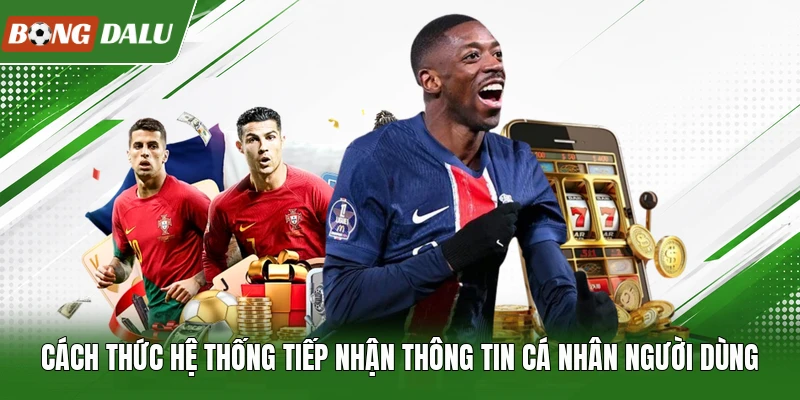 Cách thức hệ thống tiếp nhận thông tin cá nhân người dùng