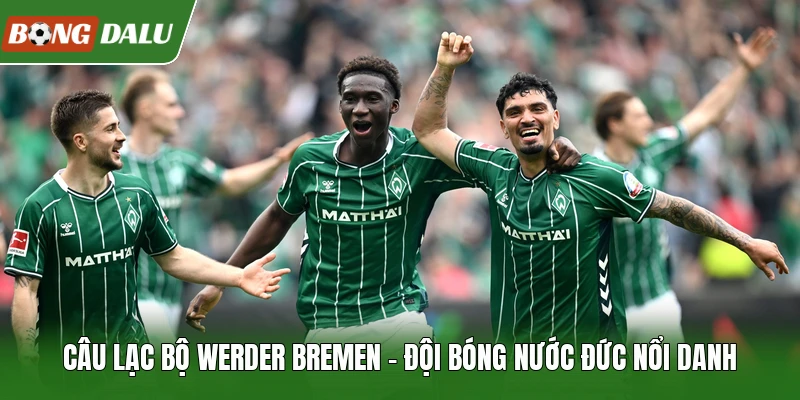 Câu Lạc Bộ Werder Bremen - Đội Bóng Nước Đức Nổi Danh