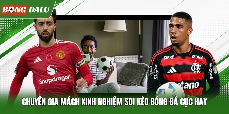 Chuyên gia mách kinh nghiệm soi kèo bóng đá cực hay