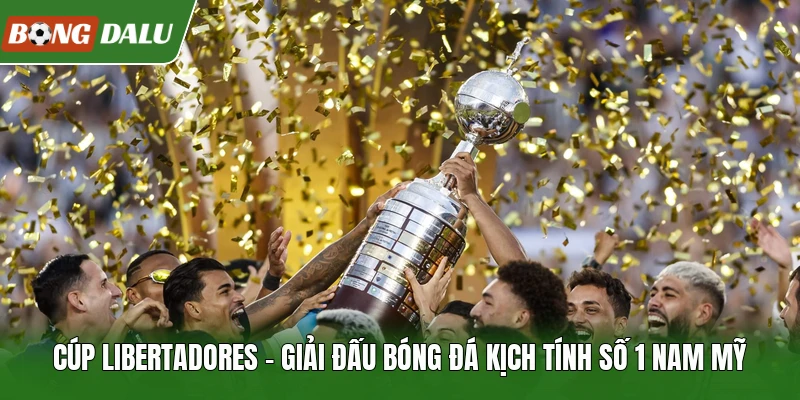 Cúp Libertadores | Giải Đấu Bóng Đá Kịch Tính Số 1 Nam Mỹ