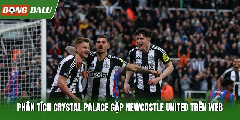Phân tích Crystal Palace gặp Newcastle United trên web