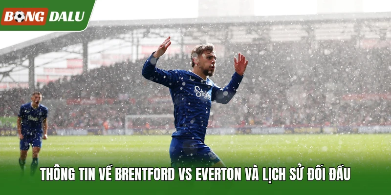 Thông tin về Brentford vs Everton và lịch sử đối đầu