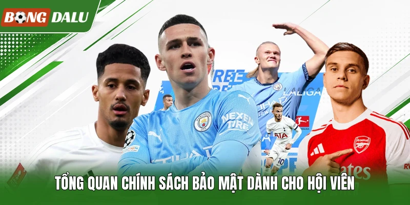 Tổng quan chính sách bảo mật dành cho hội viên