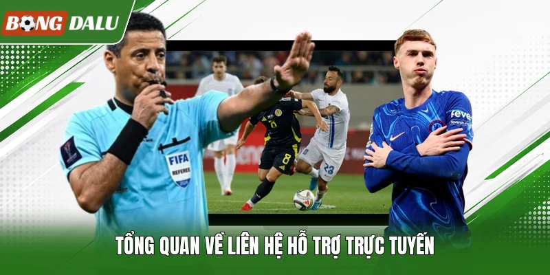 Tổng quan về liên hệ hỗ trợ trực tuyến
